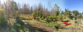 Бревенчатый дом в СНТ Ветеран в Сочи - sochi.yutvil.ru - фото 12