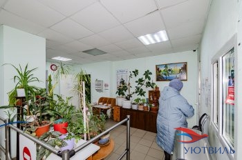 Комната на Баумана в Сочи - sochi.yutvil.ru - фото 14 Комната на Баумана в Сочи - sochi.yutvil.ru - фото 14
