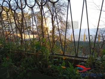 улица Калинина,31 в Сочи - sochi.yutvil.ru - фото 5 улица Калинина,31 в Сочи - sochi.yutvil.ru - фото 5
