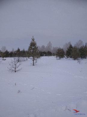 Баженово ул Южная д 7 в Сочи - sochi.yutvil.ru - фото 5 Баженово ул Южная д 7 в Сочи - sochi.yutvil.ru - фото 5