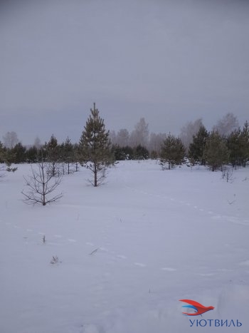 Земельный участок поселок Баженово в Сочи - sochi.yutvil.ru - фото 5 Земельный участок поселок Баженово в Сочи - sochi.yutvil.ru - фото 5