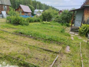 г.Верхняя Пышма СНТ №5 Березки в кв. 22 Среднеуральского Уралмашевского лесхоза в Сочи - sochi.yutvil.ru - фото 21 г.Верхняя Пышма СНТ №5 Березки в кв. 22 Среднеуральского Уралмашевского лесхоза в Сочи - sochi.yutvil.ru - фото 21