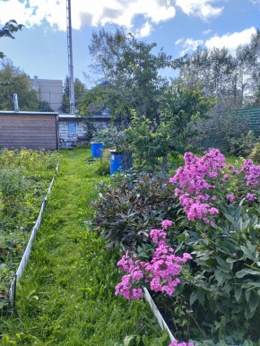 Коллективный сад номер 7, участок 58 в Сочи - sochi.yutvil.ru - фото 23 Коллективный сад номер 7, участок 58 в Сочи - sochi.yutvil.ru - фото 23