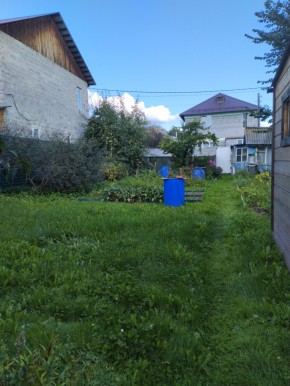 Коллективный сад номер 7, участок 58 в Сочи - sochi.yutvil.ru - фото 26 Коллективный сад номер 7, участок 58 в Сочи - sochi.yutvil.ru - фото 26