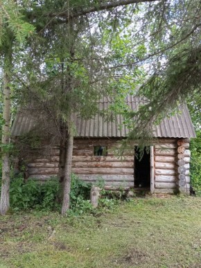 СНТ Калининец-10, уч. 1-11-3 в Сочи - sochi.yutvil.ru - фото 1 СНТ Калининец-10, уч. 1-11-3 в Сочи - sochi.yutvil.ru - фото 1