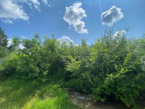 СПК Юбилейный, уч. 9 в Сочи - sochi.yutvil.ru - фото 15