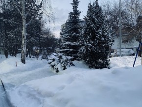 ул. 8 Марта,7 в Сочи - sochi.yutvil.ru - фото 25 ул. 8 Марта,7 в Сочи - sochi.yutvil.ru - фото 25