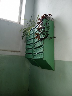 ул. Бажова,11 в Сочи - sochi.yutvil.ru - фото 2 ул. Бажова,11 в Сочи - sochi.yutvil.ru - фото 2