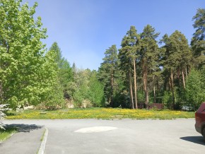ул. Сосновая, 8 в Сочи - sochi.yutvil.ru - фото 26